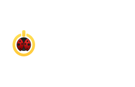 Lucky Start Casino